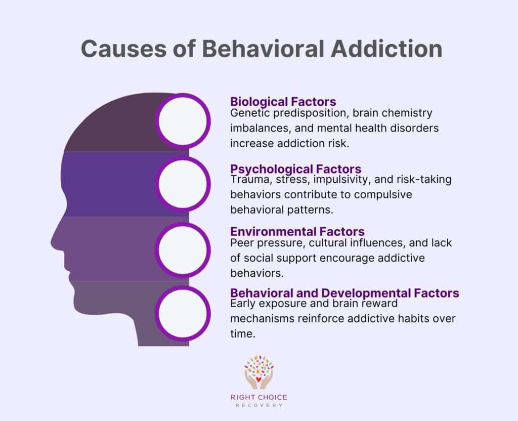 Causes of Behavioral Addiction