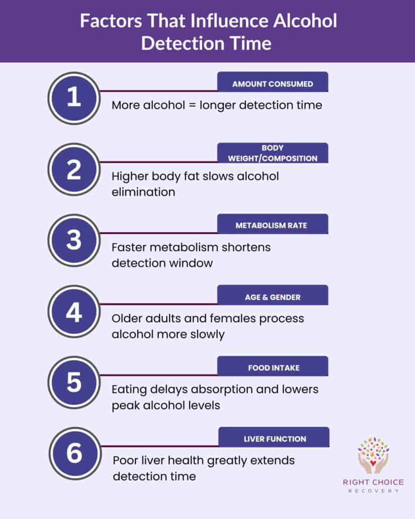 Factors That Influence Alcohol Detection Time
