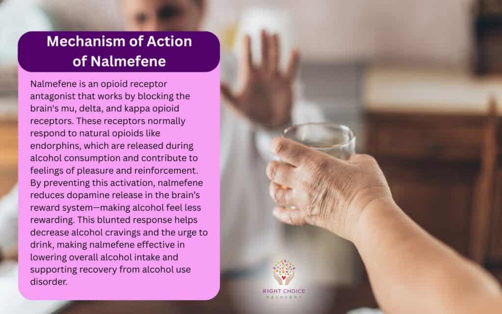 Mechanism of Action of Nalmefene
