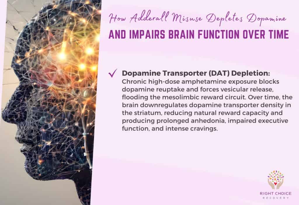 How Adderall Misuse Depletes Dopamine