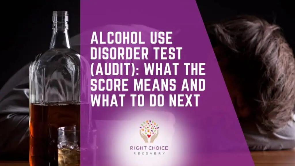 Alcohol Use Disorder Test AUDIT Score Meaning
