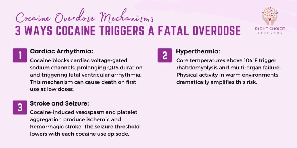 fatal cocaine overdose mechanisms